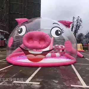 ���������ʾ� ��ľǽ ����� ���ܻ��� ������������