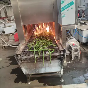 蔬菜撩皮机 天然气烧毛机 提高工作效率
