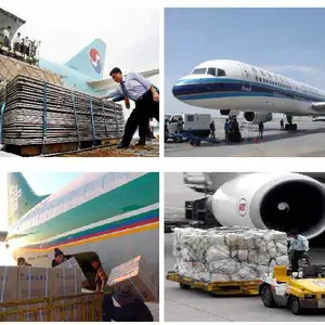 深圳机场货运|深圳空运随机场航班出港|急件\快件当日达空运