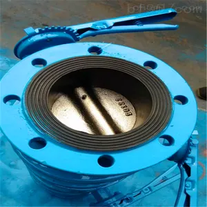 304�����Ľ����� �ֱ����� D41X-16P DN200�ֶ����۷� ��ˮ���ڷ� �ֱ���������