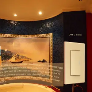 SONGRI酒店120型二三孔插座250V 16A European Standa欧标电脑开关按钮
