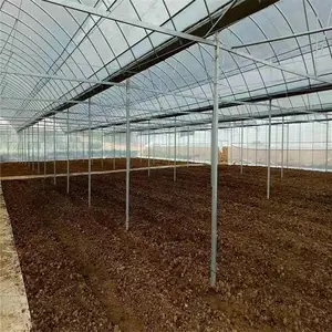 ���������������������ϱ�Ĥ�����߲�����������������������ﳧ��