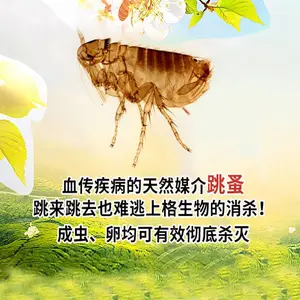 �Ϻ��ϻ��������� ��Ч��ļ�ͥ������ɱ Ч���ð�������ɱ