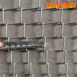 种草护坡铁丝镀锌勾花网 喷浆客土菱形网 煤矿经纬网 勾网