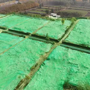加密盖土网绿色工地绿网覆盖绿化网防尘网3针4针