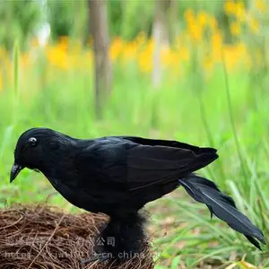 ��ʥ�ں�ɫ��ë��ѻ�ڼ����洿�ֹ��������������ɶ�װ���ն���ѻ����