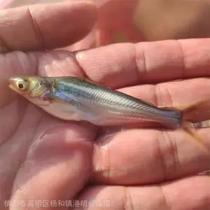 ��ˮ��ɳ�����ۺ������١�Ʒ�ְ�ɳ������������ȫ���ṩ��ֳ����