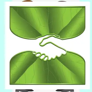 马来 Shopee货代 代发交尾端 虾皮物流