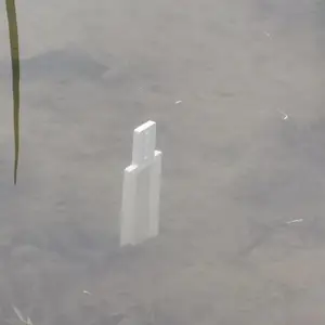DGT��Ʒ�߷ֱ�һ�廯������ ��Ĥ��ɢ�ݶ����� ������ ˮ��