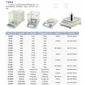 沈阳龙腾砝码质量比较仪ES-02M1S ES-1MS ES-5MS ES-20M1S ES-25M1S ES-500F2 ES-1000M1电子质量比较仪