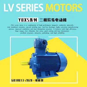 YBX5/YBX4-315L1-2-160KW隔爆型三相异步电动机zoda电机ATEX认证