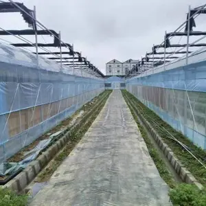 上海玻璃温室大棚厂家 欢迎咨询 厚本温室供应