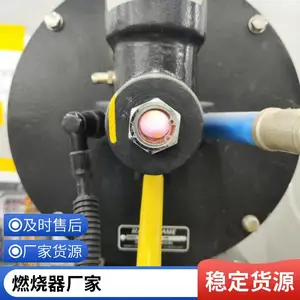 低氮燃烧器 300万大卡燃气低氮50毫克烧嘴 天然气燃烧器