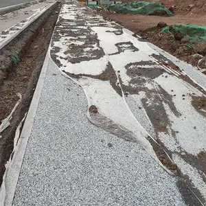 海绵城市露骨料透水混凝土地坪施工