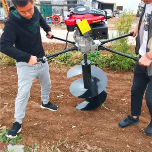 ����԰������ڿӻ� ��ֲ�� ����� ֲ����е����۸�