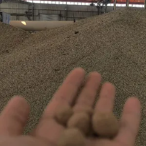 台州陶粒 上海森卡环保科技供应