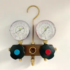 REFCO��ʿ������ýѹ������BM2-6-DS-R22 ��9884898��