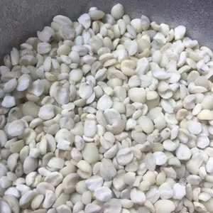 彝山香常年批发云南墨江糯薏仁米1000g香糯无异味