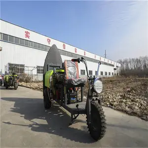 פ������ʹ�ҩ����ô�� ��ҩ��ʹ�÷���