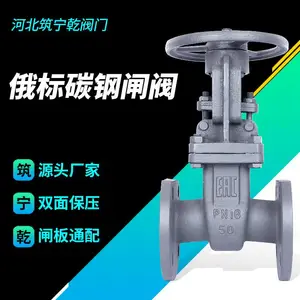 �ӱ�����Ǭ ����բ�� Z41-16C ̼�ַ���բ��dn50 ����