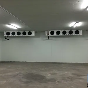 建造一个小型冷库多少钱?