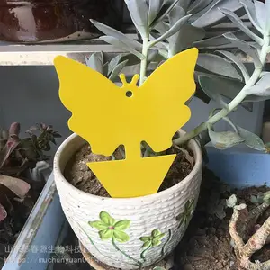 ��Ӭ�岶��� �ճ��۸����� �����ճ��� Ľ��Դ