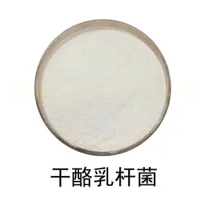 干酪乳杆菌 食品级活性乳酸菌冻干粉 益生菌粉剂散装原料100亿