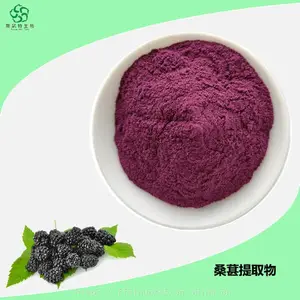 桑葚提取物 富含花青素 粉末 水溶性好 用途广