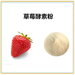 草莓酵素粉 速溶粉 食品级 淡黄色粉末 沃特莱斯生物