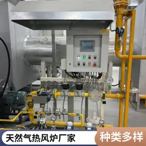 工业直燃式燃气热风炉 500万大卡 天然气热风炉 使用方便