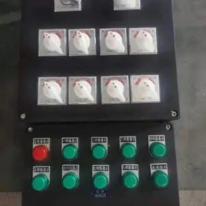 BXK防爆防腐控制箱10灯10钮5开关防爆操作箱定做