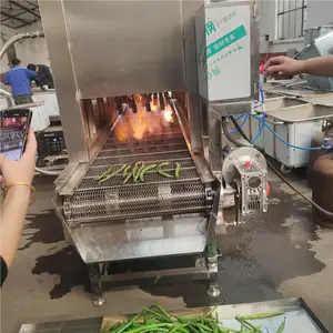 青椒烧椒机 猪皮燎毛机 提高产品质量