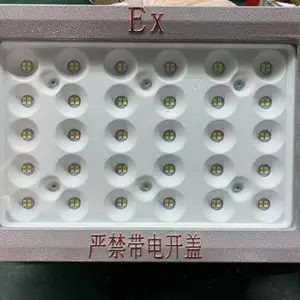 华荣防爆RLEEXL615-XL50W隔爆型防爆灯/RLEEXL615-XL70W