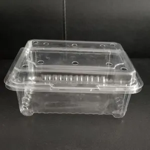 透明pet水果蔬菜保鲜包装盒