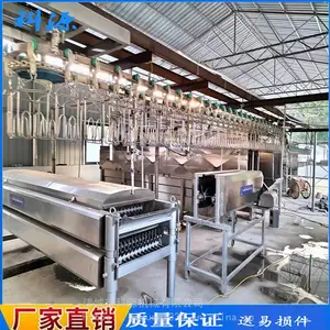 科源家禽屠宰设备流水线 杀鸡杀鸭脱毛设备流水线 鸡屠宰机械