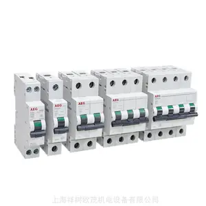 �������ڱ�������ȷ��AEG �¿��� Thyto-A1A400-170HRLP3