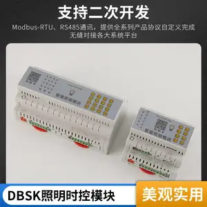 ����������������ʱ��ģ�� �ƿش������DBSK-16L16A��ʱ��