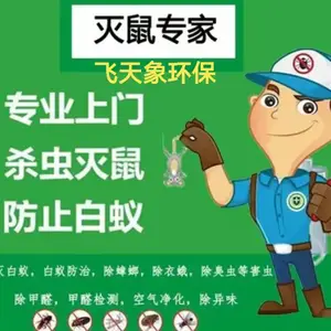 食堂除蟑螂灭蚊蝇抓老鼠服务 酒店消杀除四害 快速上门服务