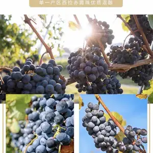奔富寇兰山 干红葡萄酒 澳洲进口 红酒批发