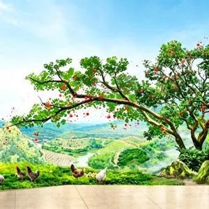 �Ϻ����ã���չ������������ô�����ܵͳɱ����£�