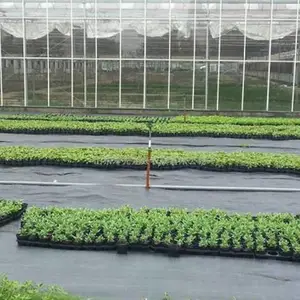 自贡防寒布-橘子防寒布价格-恒达布业