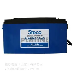 STECO蓄电池 蓝色外壳 黑色盖子 法国STECO蓄电池 蓝色款式 生产工厂