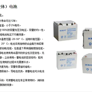 UPS及直流屏配套铅酸蓄电池阀控式免维护蓄电池DURANT