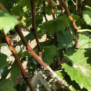 ��������õ���������Ѷ�����õ���������Ѷ�����õ��������������������Ʒ��