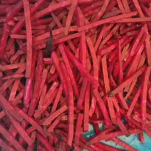 �����ж��� �����п�� �ܲ������� �����������