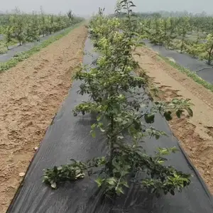 渗水透气防草地布 采摘园果树盖草布抑草布90g常用规格