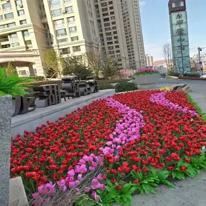 ��������廨 ���������� ���������Ҭ���� ӣ����