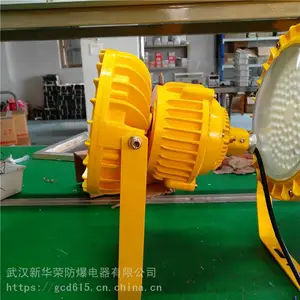 华荣 机房LED防爆灯20w 炼化厂LED防爆灯200w 货源充足