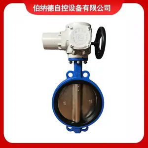 ���ҹ�Ӧ���ɵ����ܷ�綯����DN65 25����Լ�ʽ����