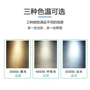 �ʵ���˹���LED������������������װ�εƴ�24V��ѹ���۵�������